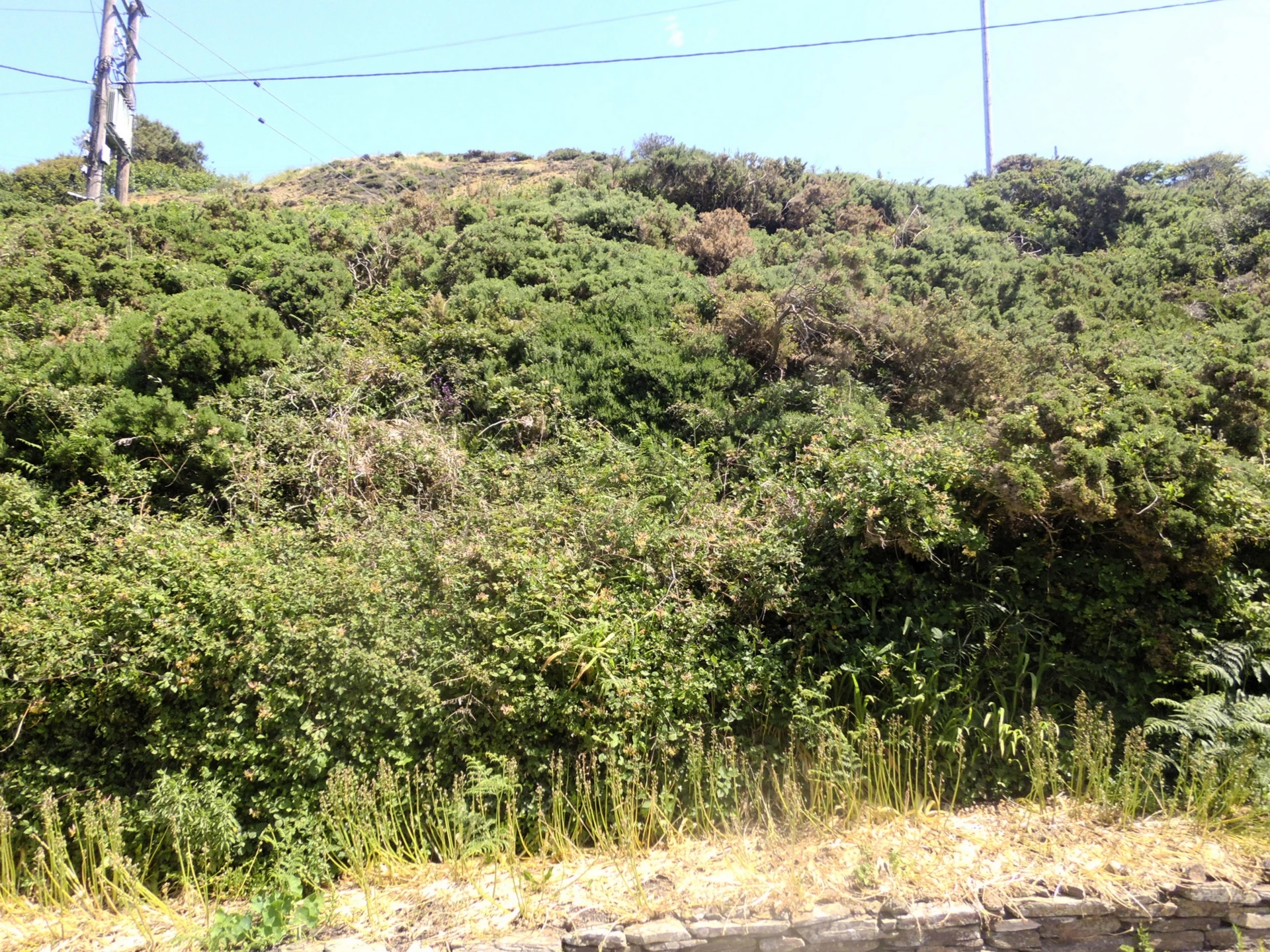 Parcel of Land