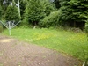 Garden Garden