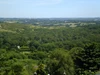 View View