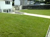 Rear garden Rear garden