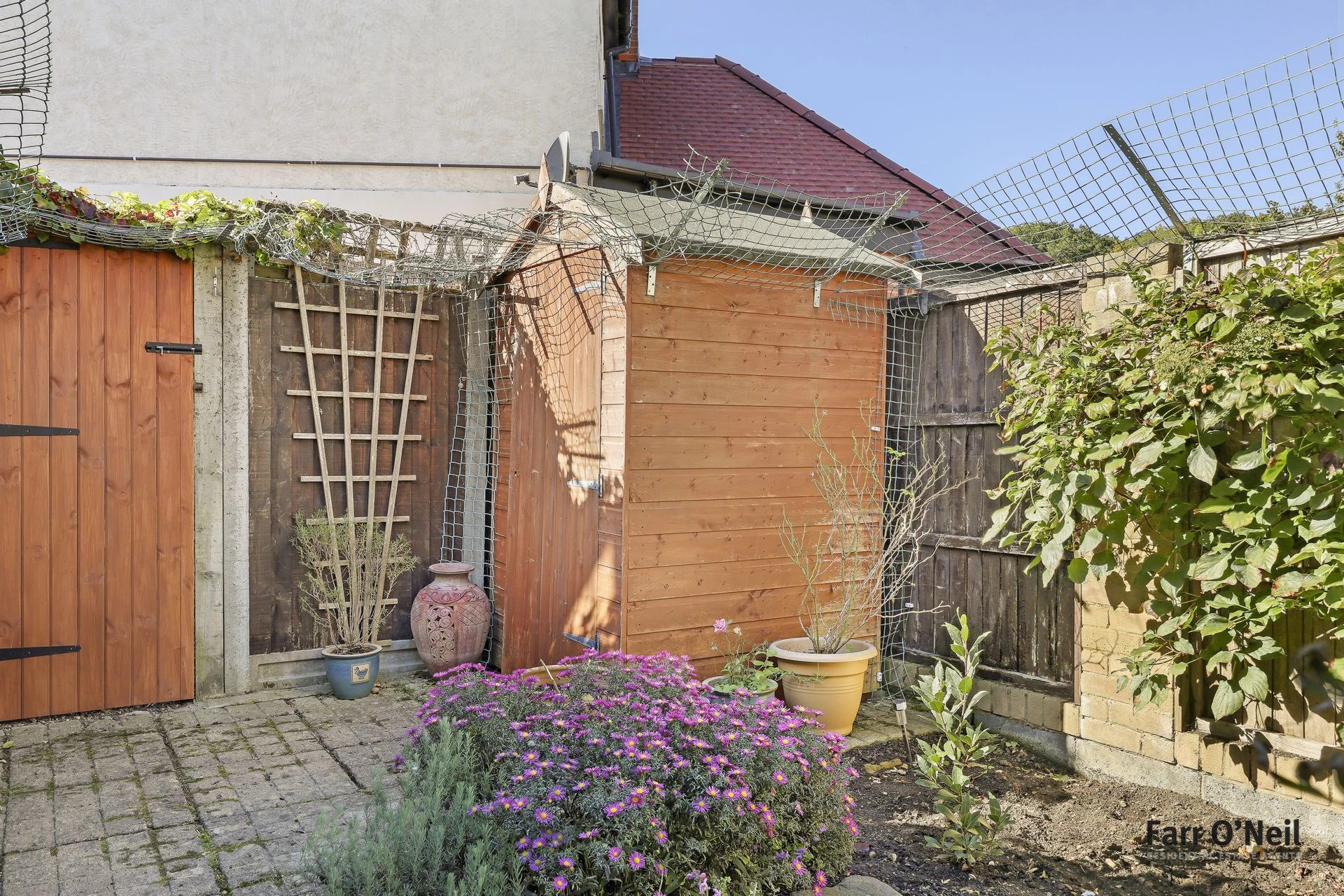 Photo 20
