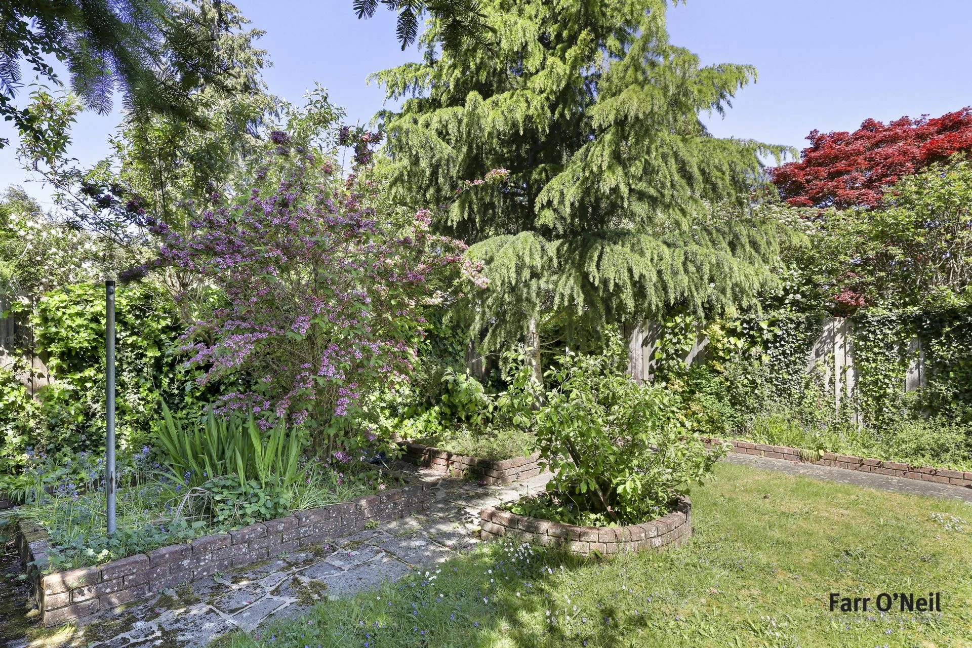 Photo 21