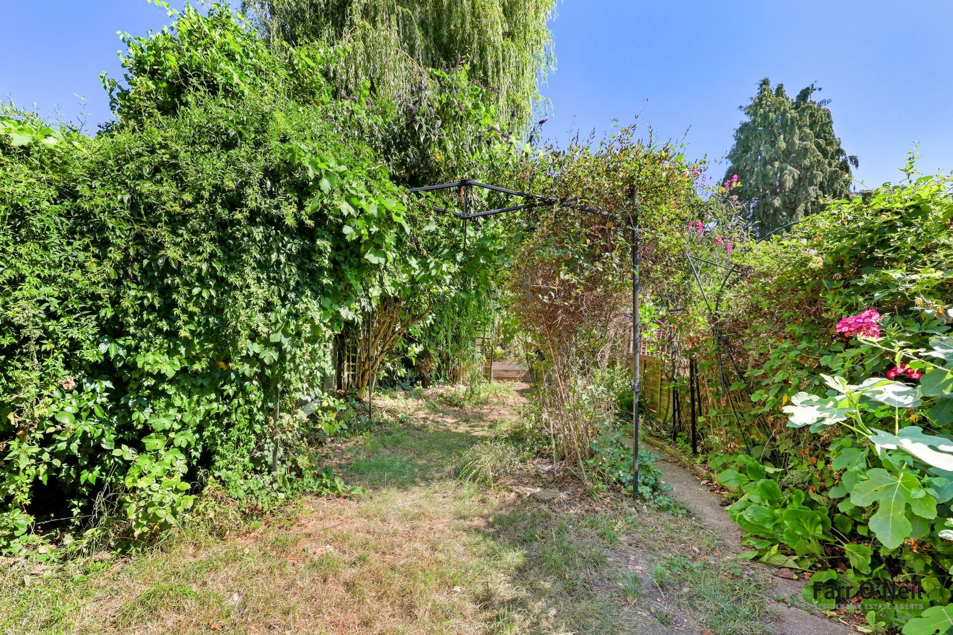 Photo 12