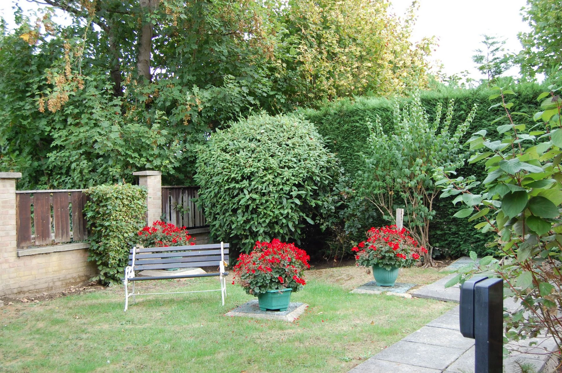 Photo 4