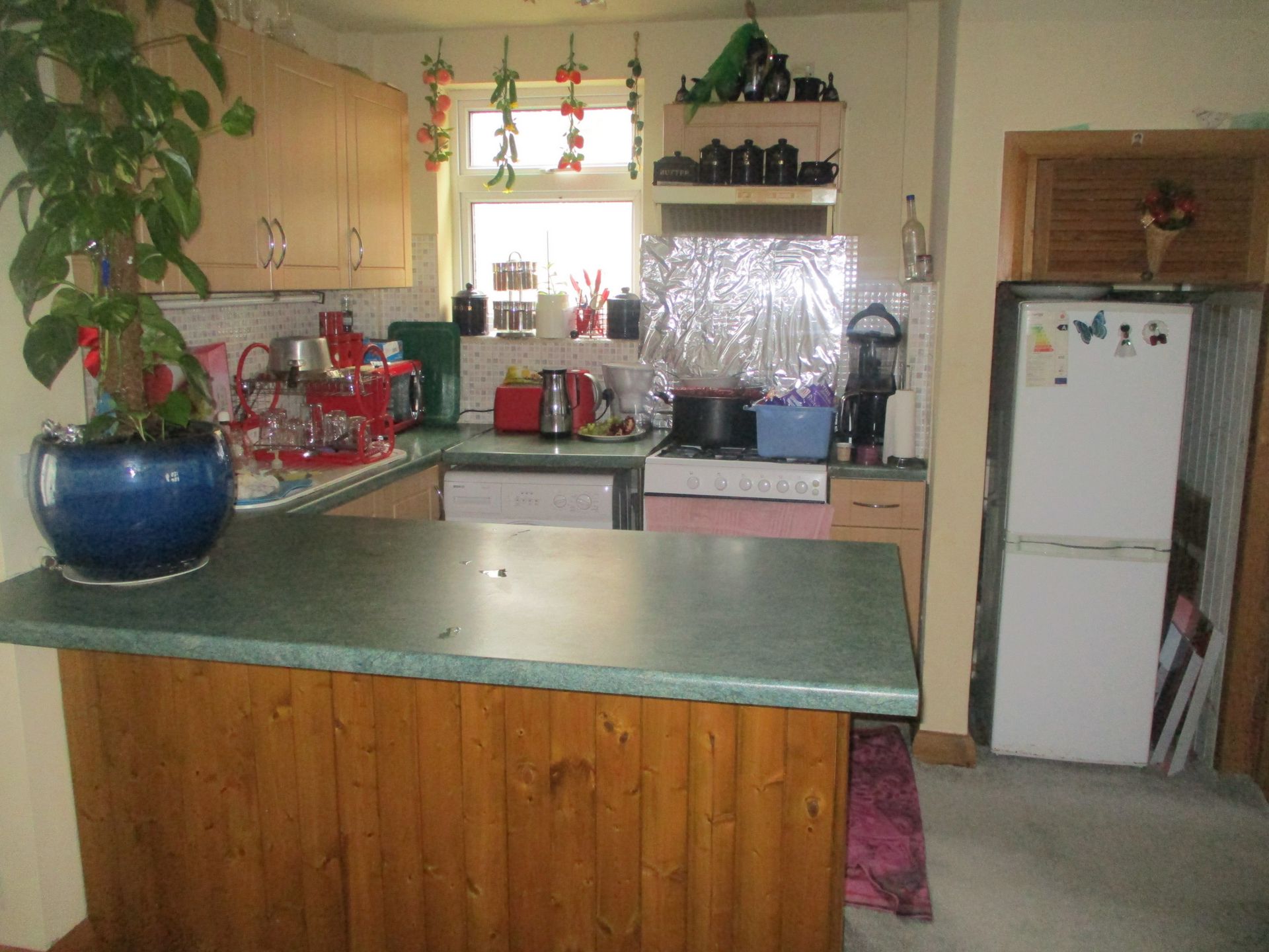 Photo 4