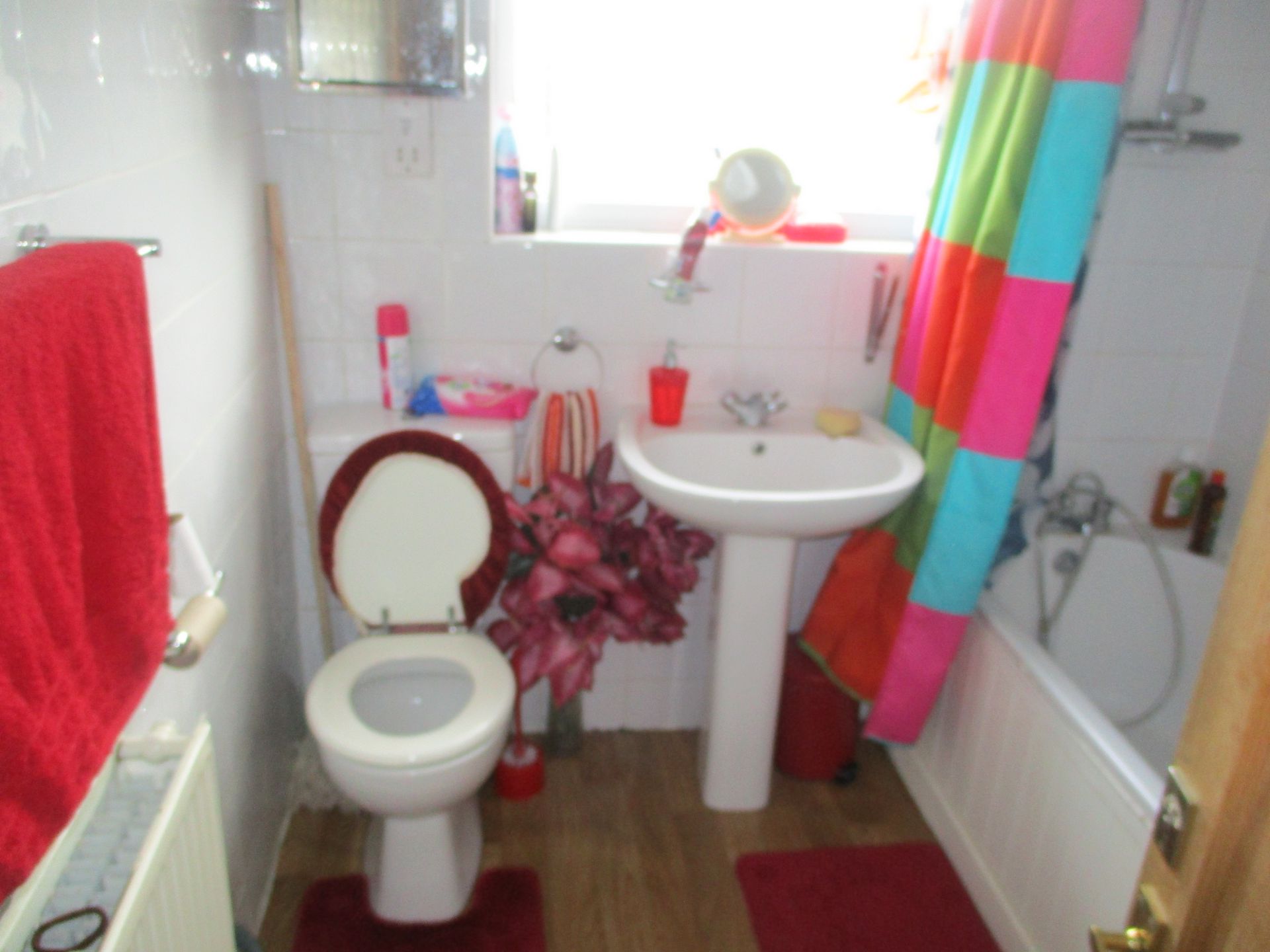 Photo 9