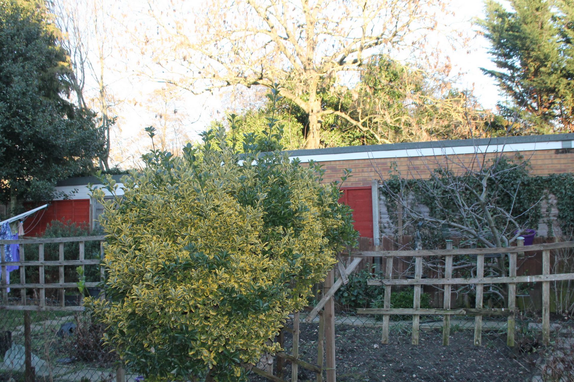 Photo 7