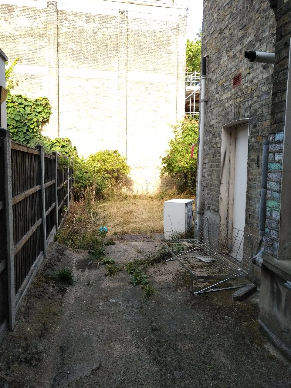 Photo 7