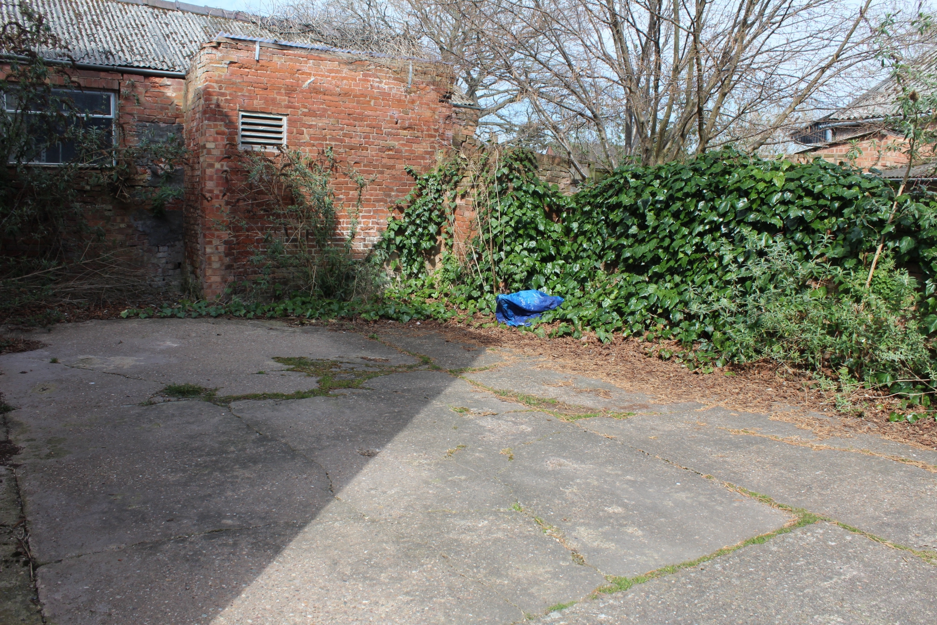 Photo 13