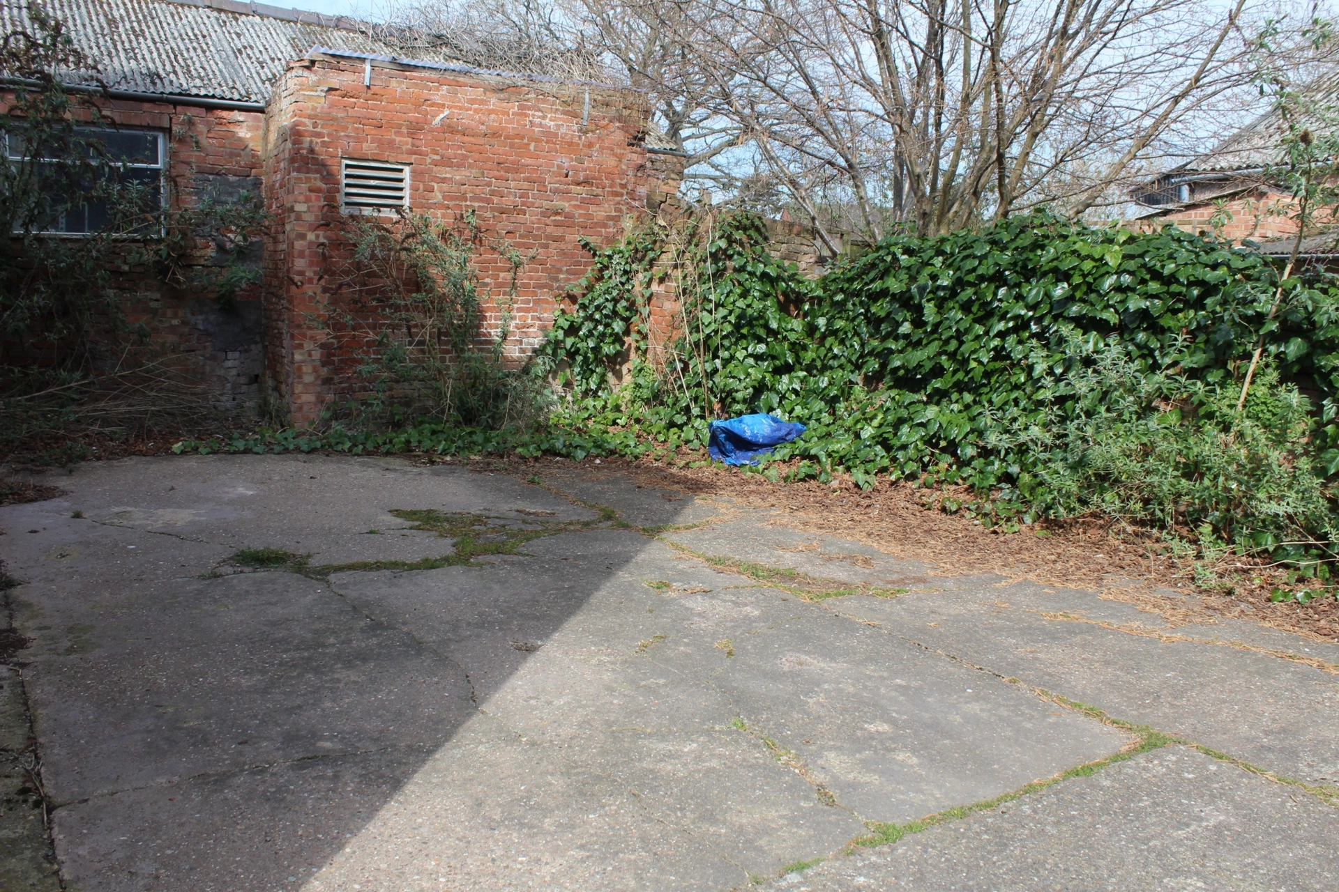 Photo 13
