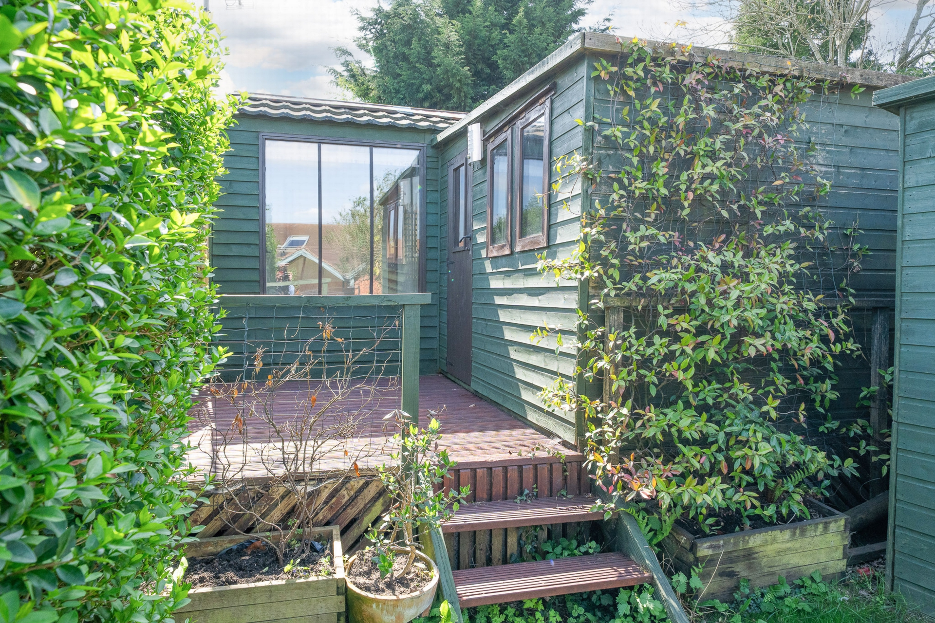 Photo 14
