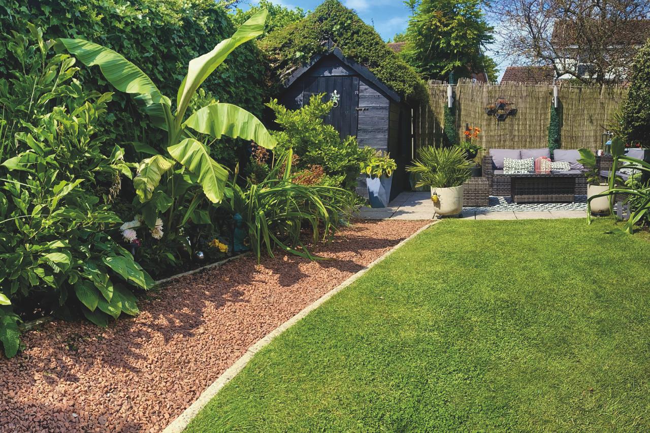 Rear Garden (2)