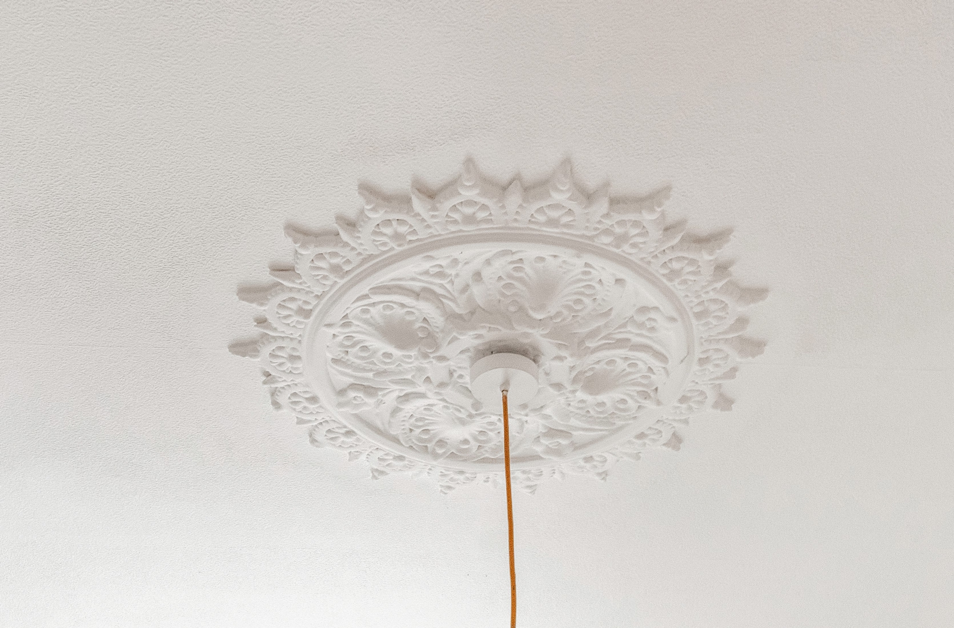 Ceiling Rose