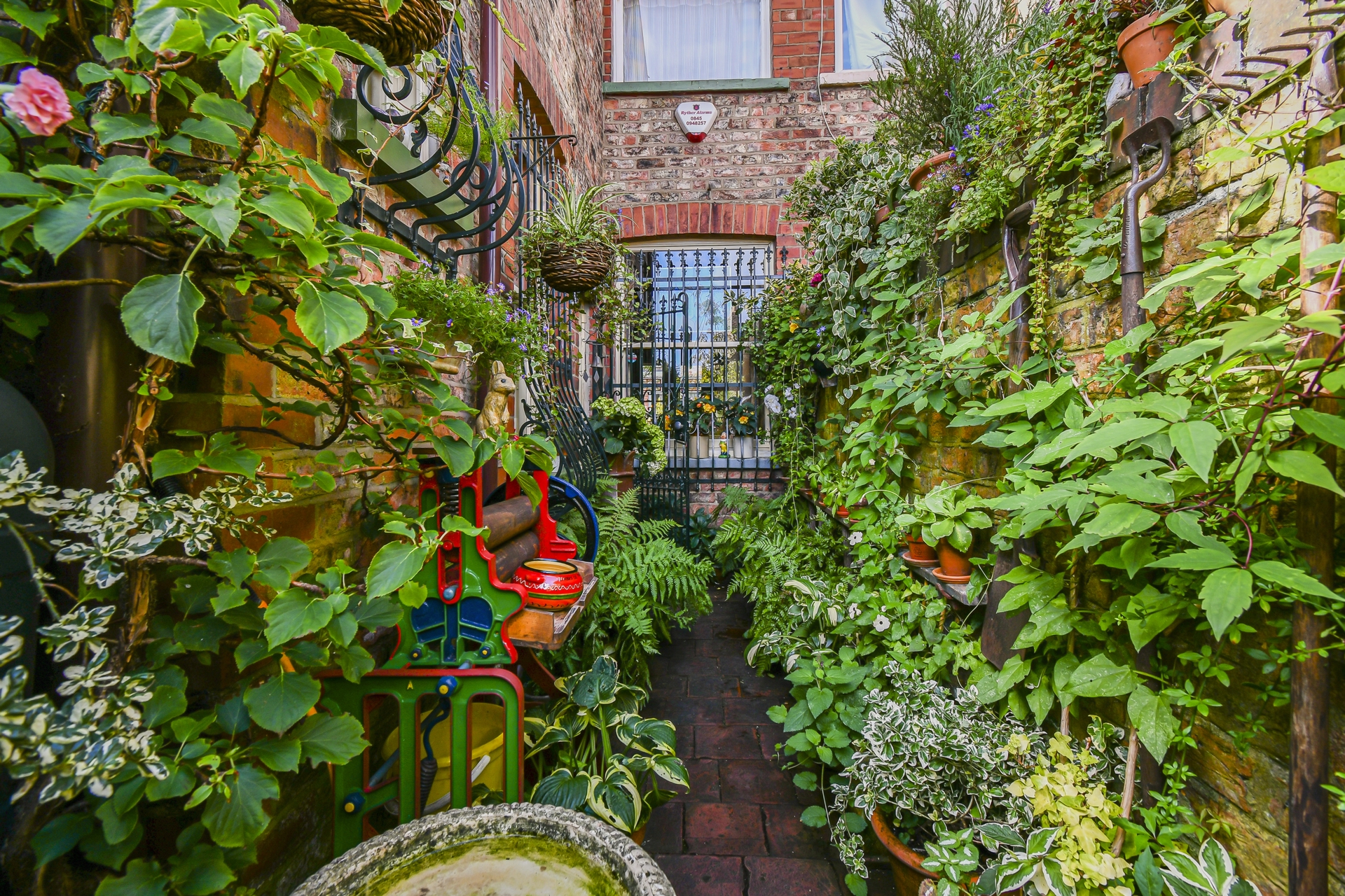 Garden (2)