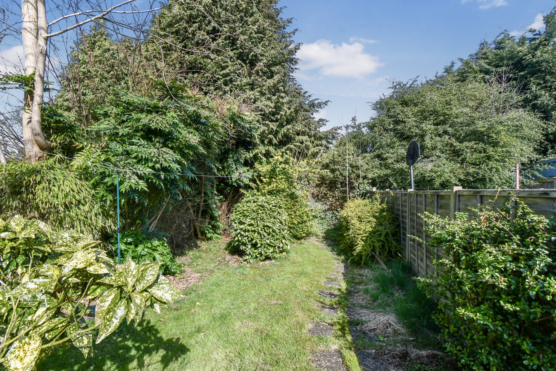 Rear Garden (2)