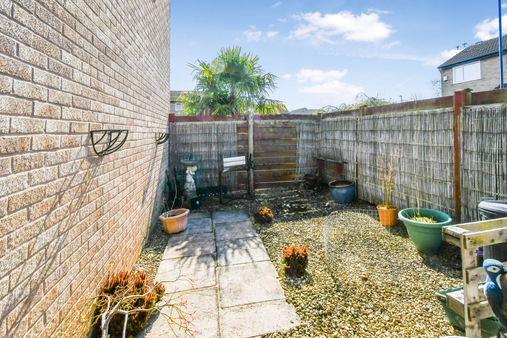 Garden (3)