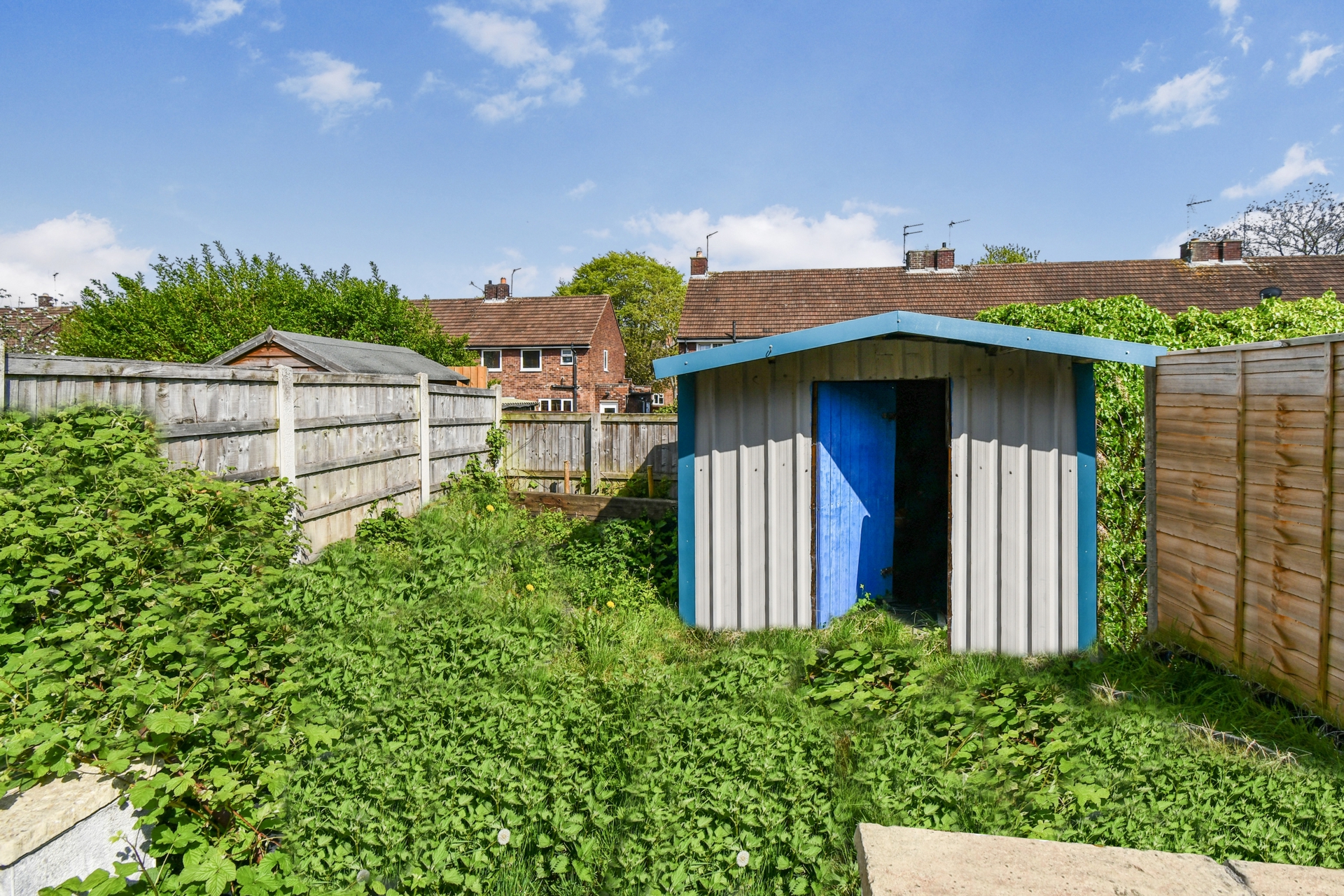 Garden (2)