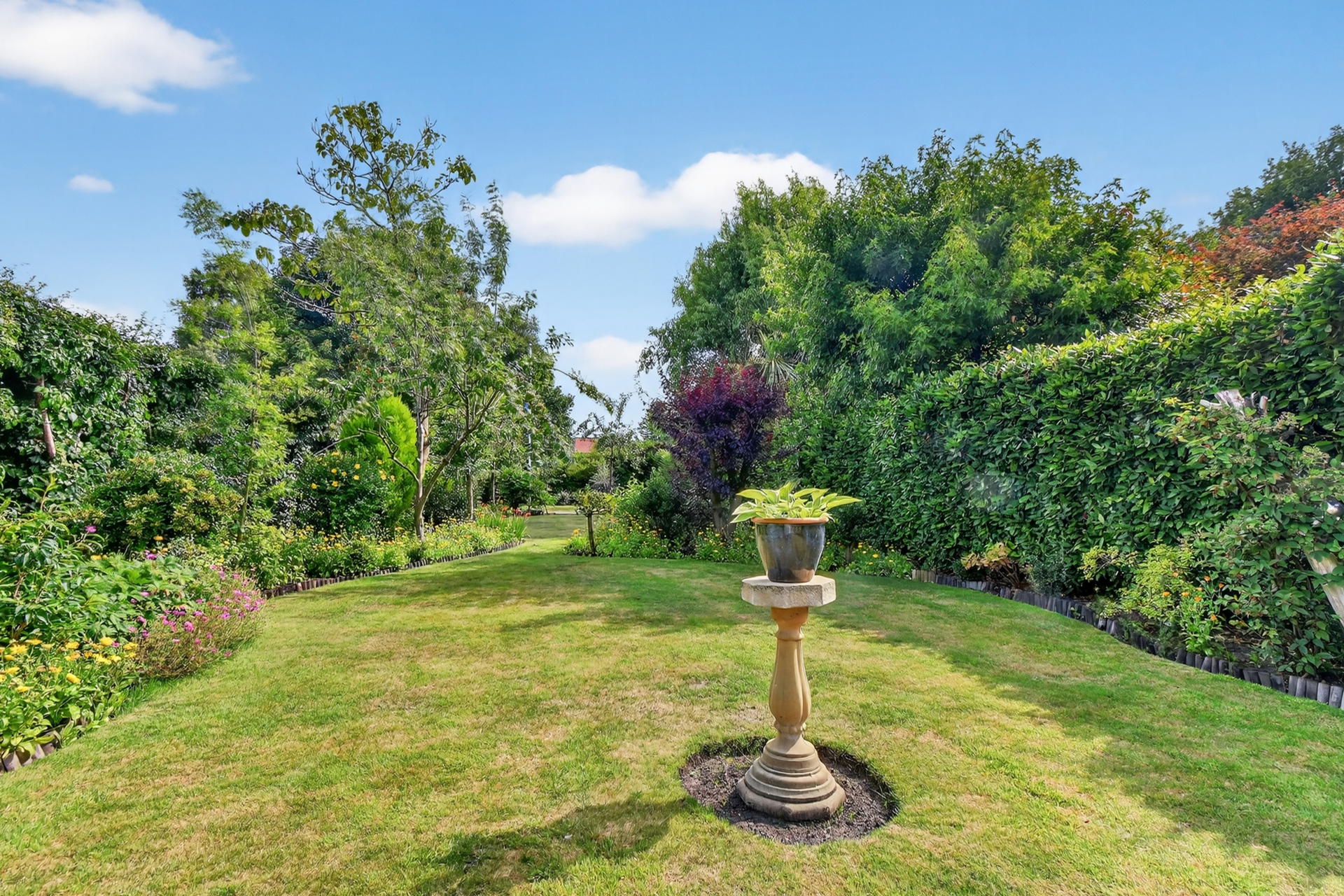 Garden (2)