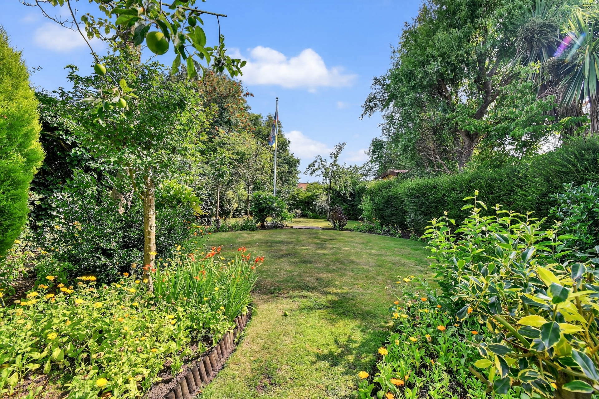 Garden (3)