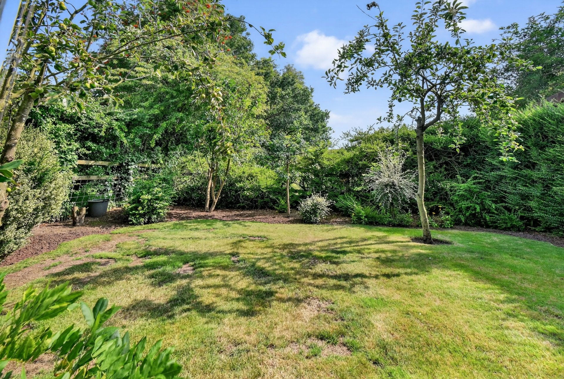 Garden (4)