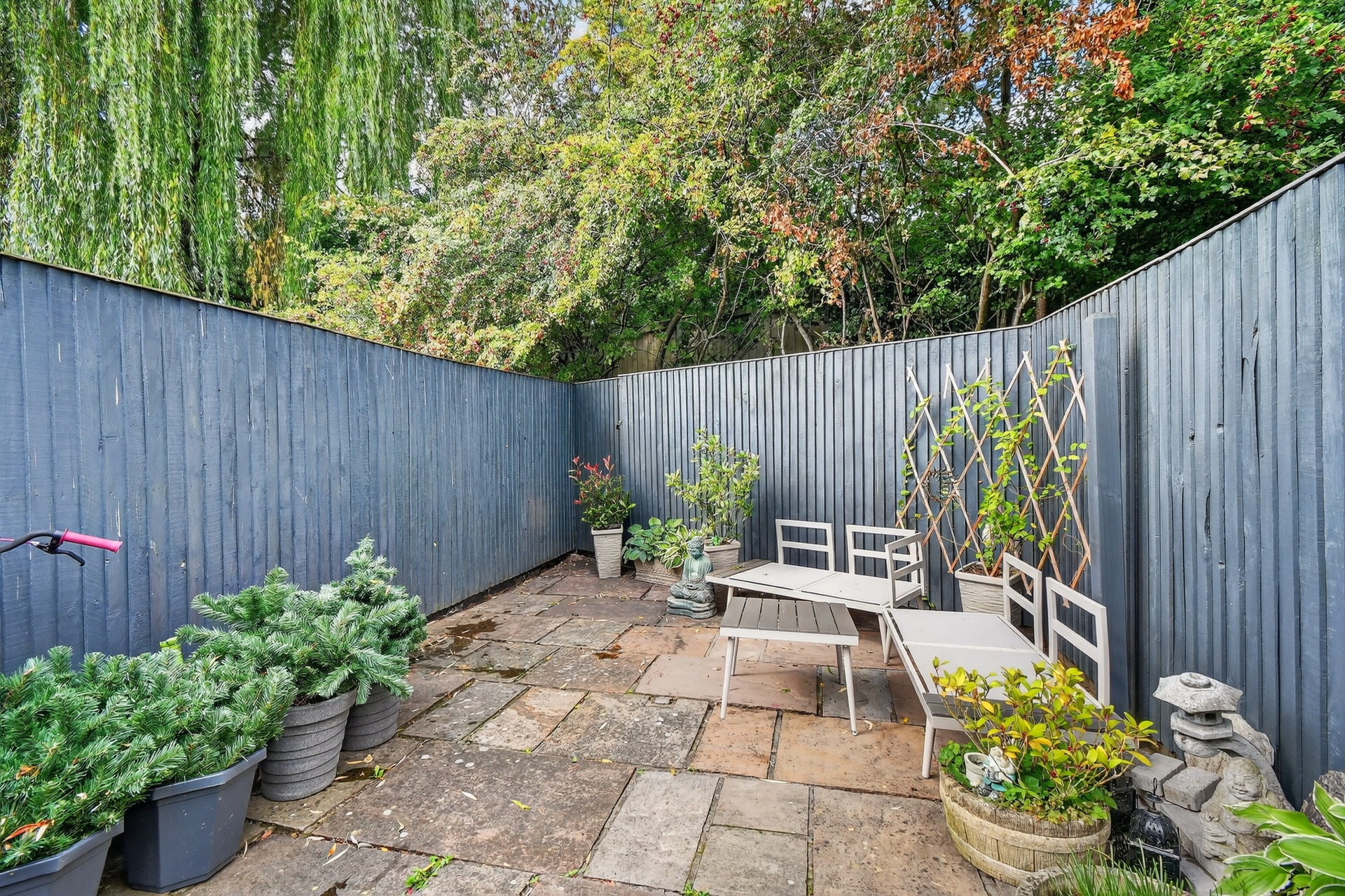 Garden (2)