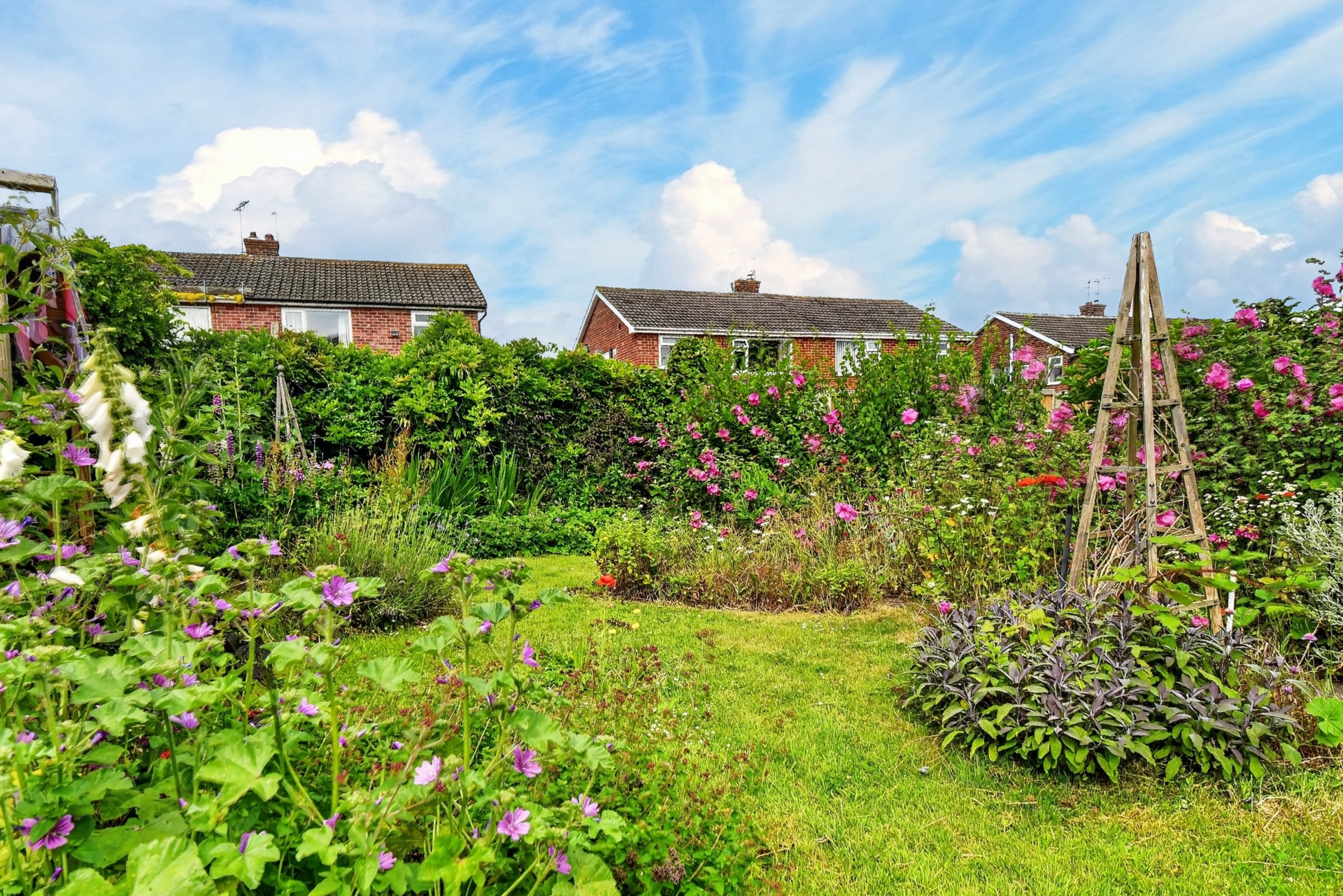 Rear Garden (2)