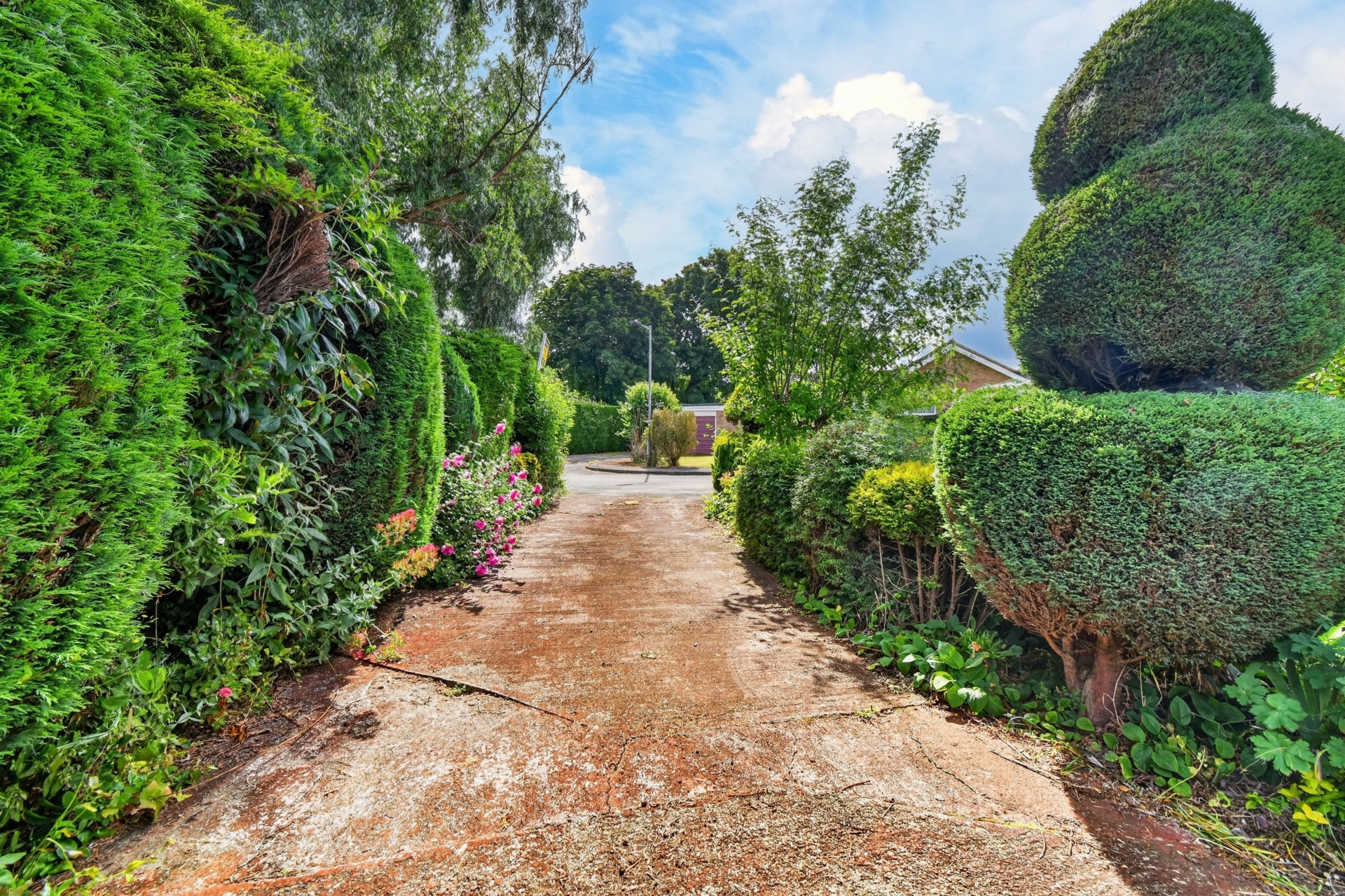 Driveway (1)