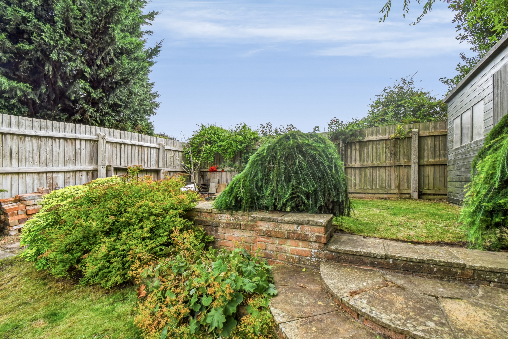 Garden (2)