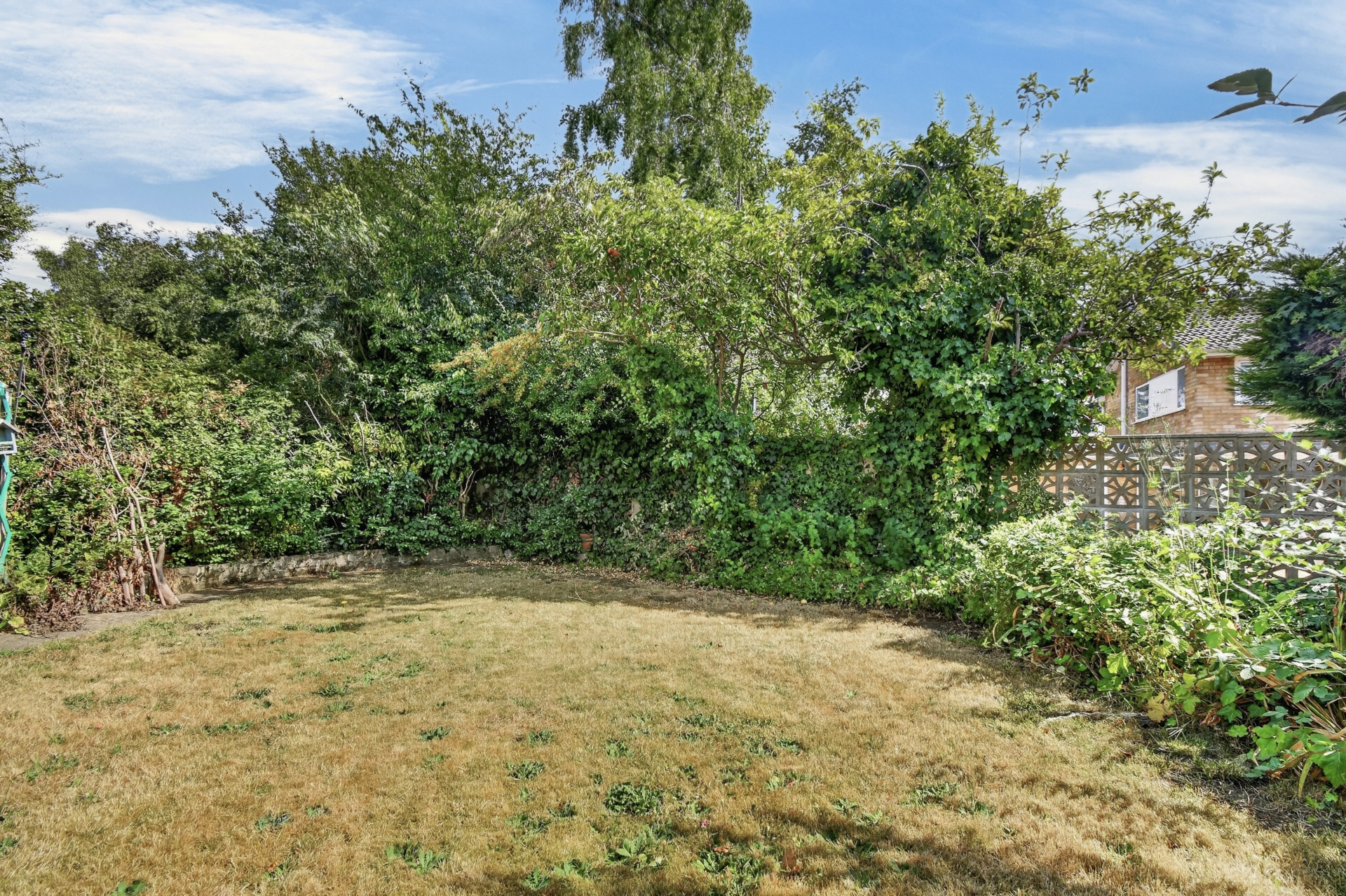 Garden (2)