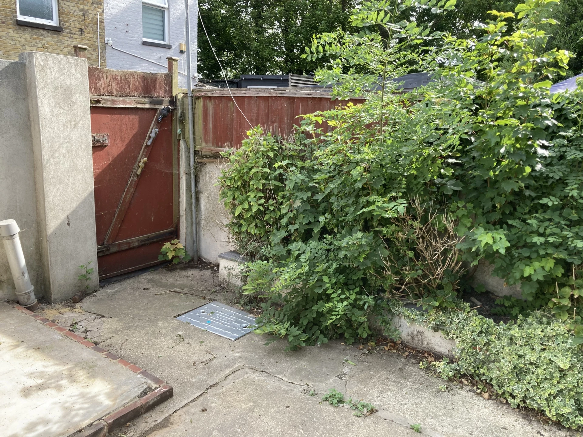 Rear garden.