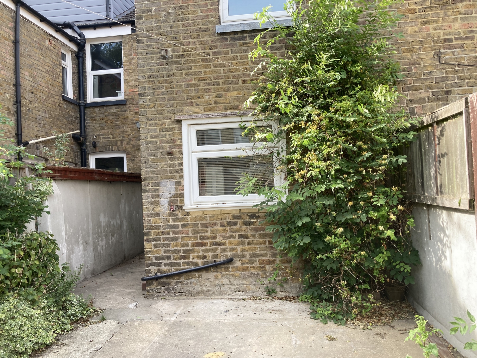 Rear garden.