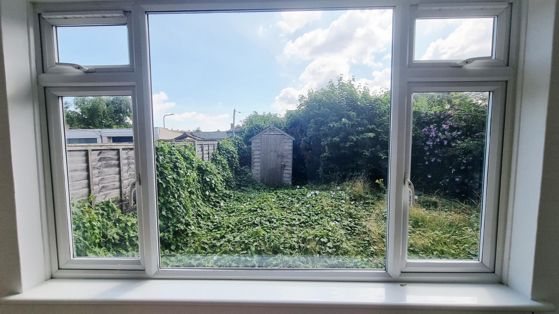 Lounge Window