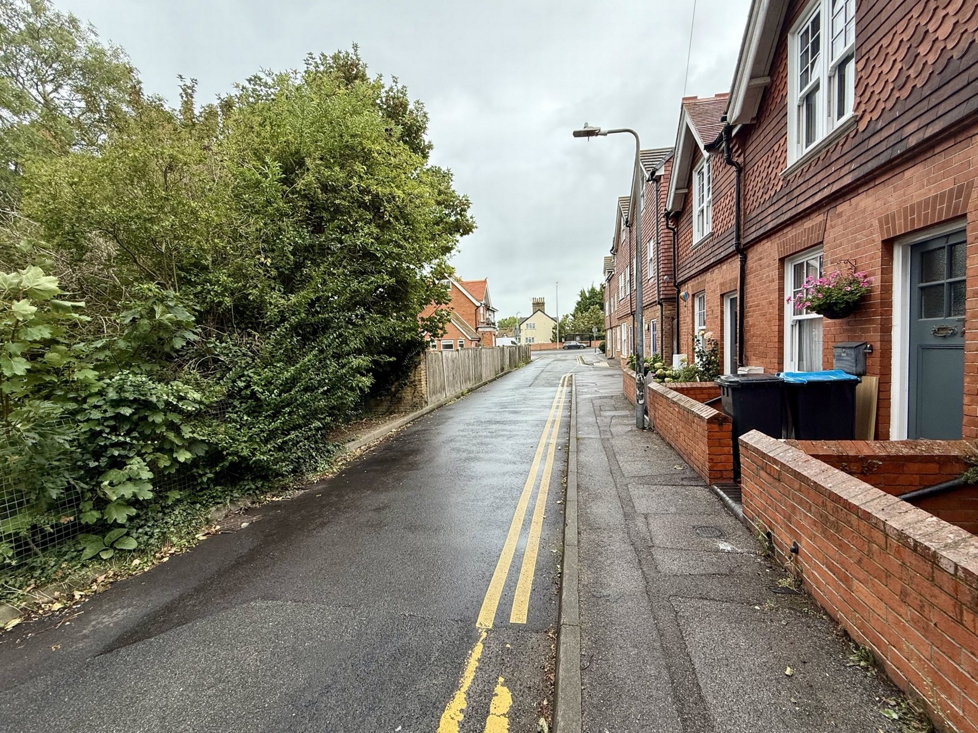 Road View
