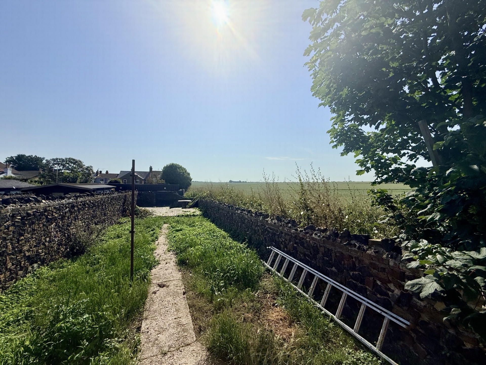 Farmland Viiews