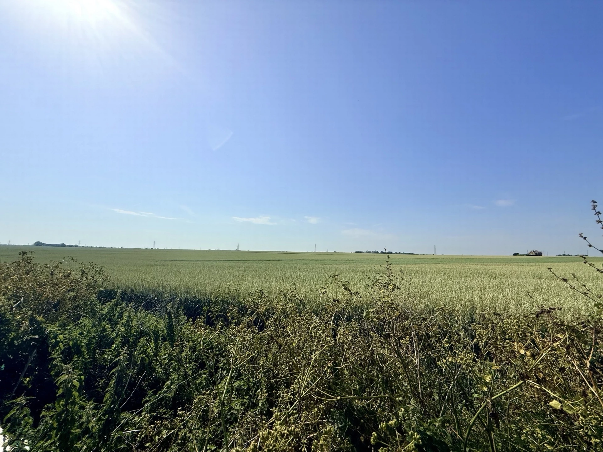 Farmland Viiews