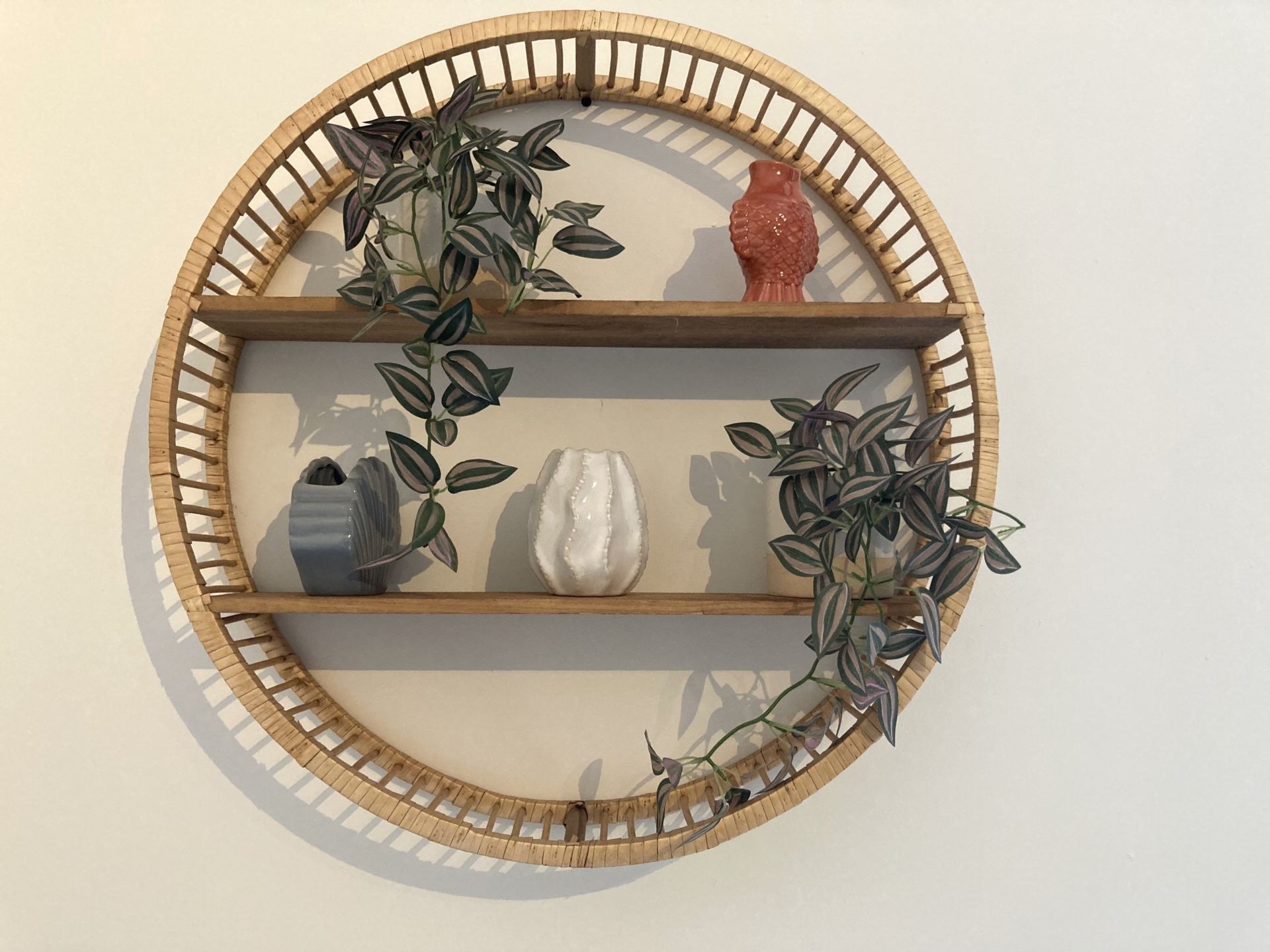 Ornamental