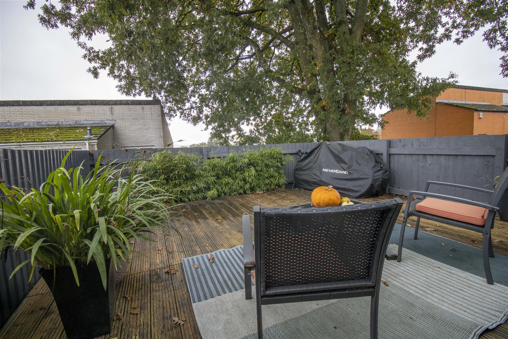 Garden 2.jpg