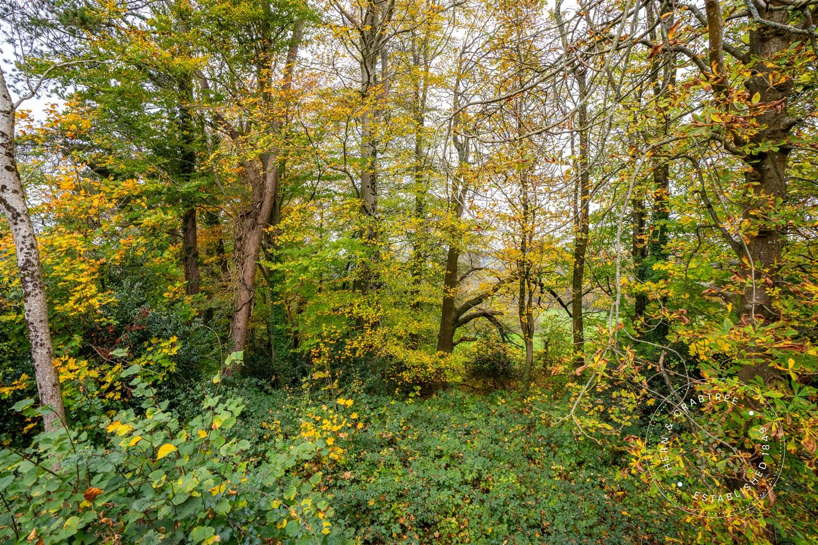 Great House Farm, St Fagans, Hern Crabtree (19).jp