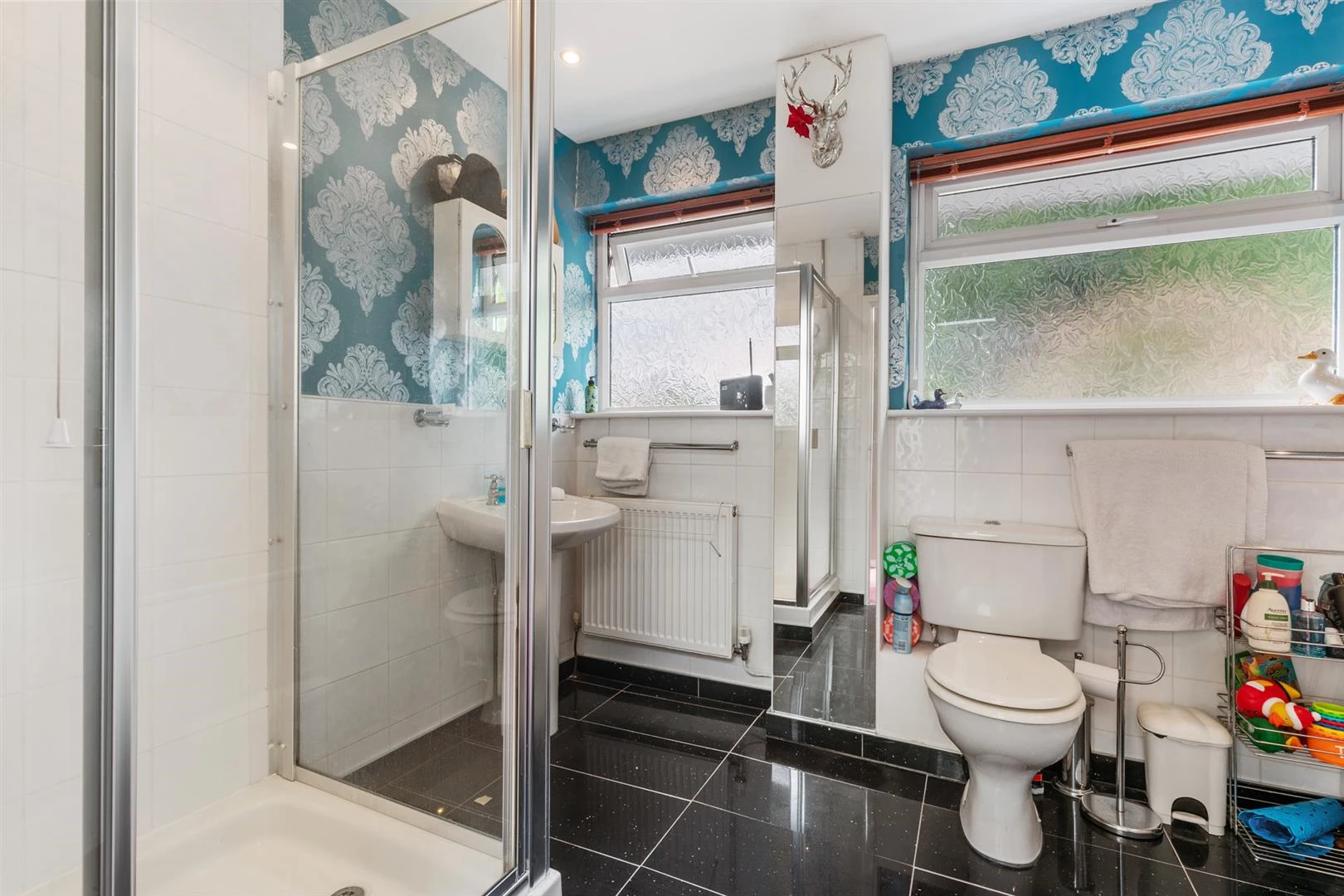 11 Fairwater Road Llandaff-28.jpg