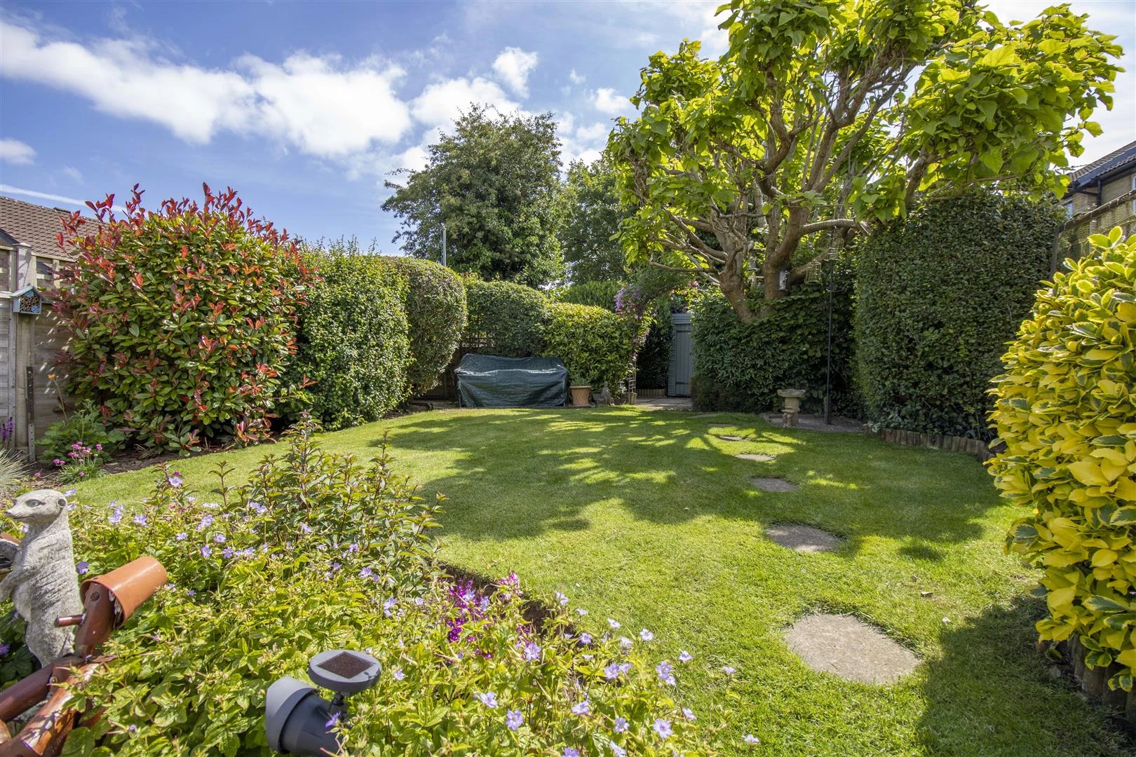Garden.jpg