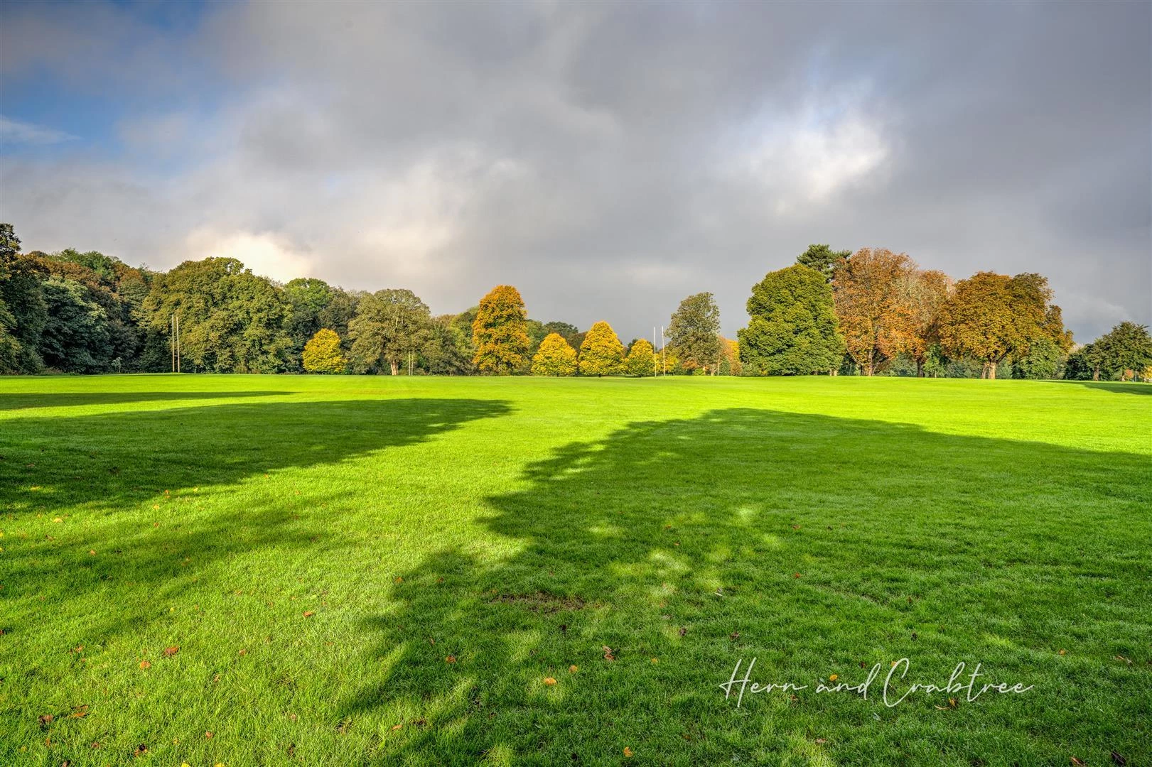 park view.jpg