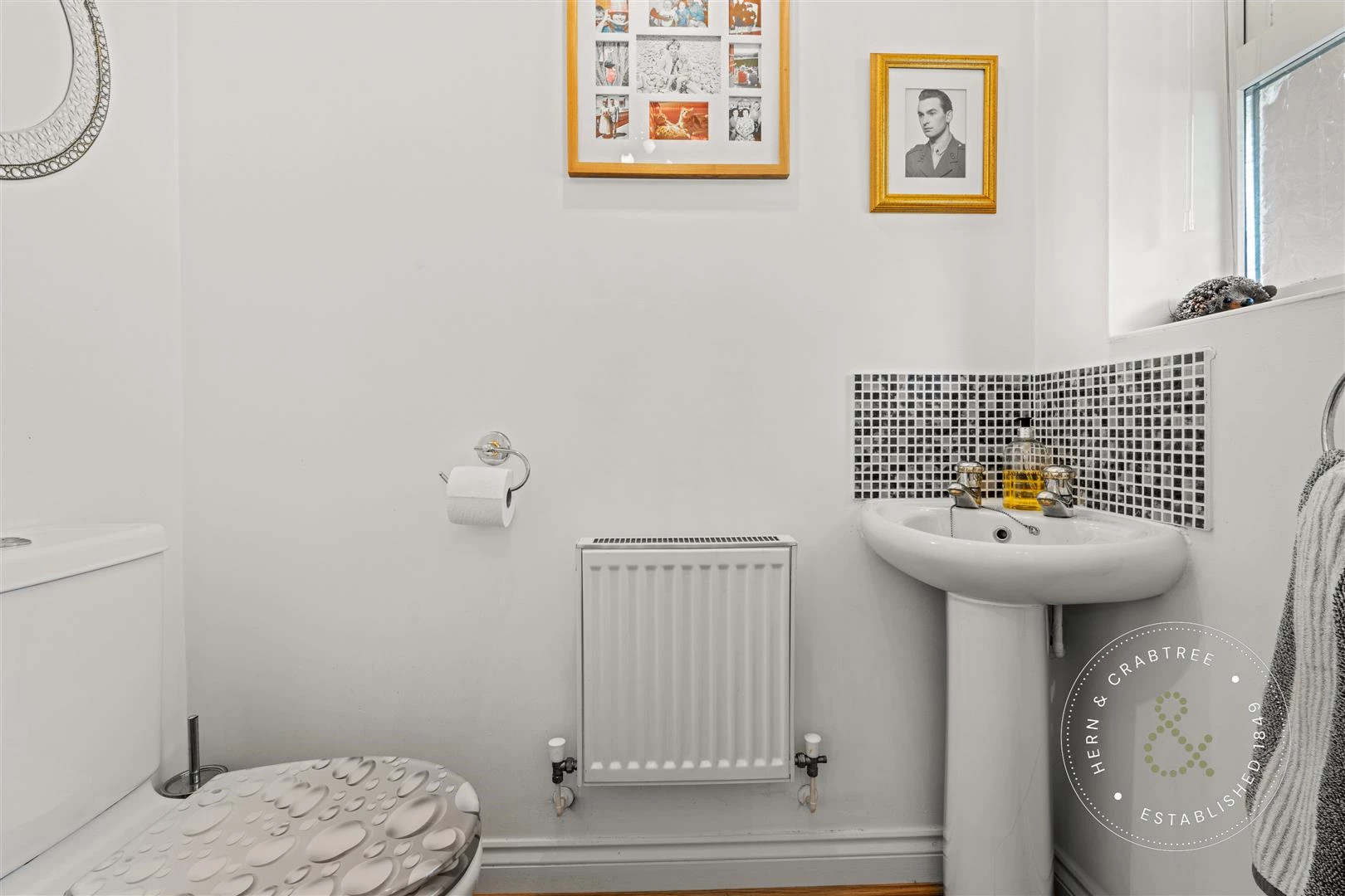 Bassetts Field, Thornhill, Hern Crabtree (33).jpg