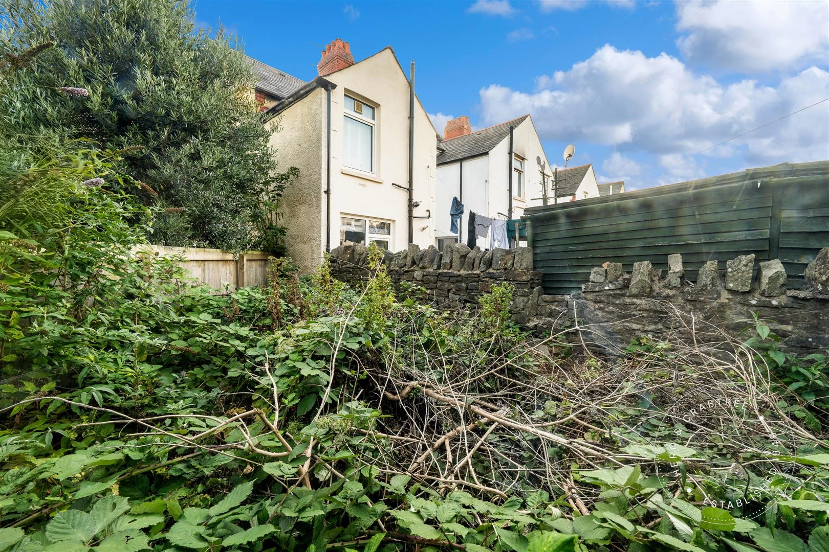 Hern Crabtree-1583.jpg