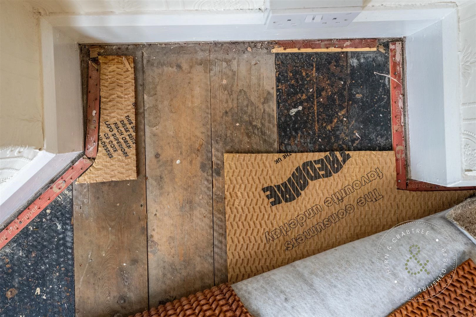 Africa Gardens, Hern Crabtree (24).jpg