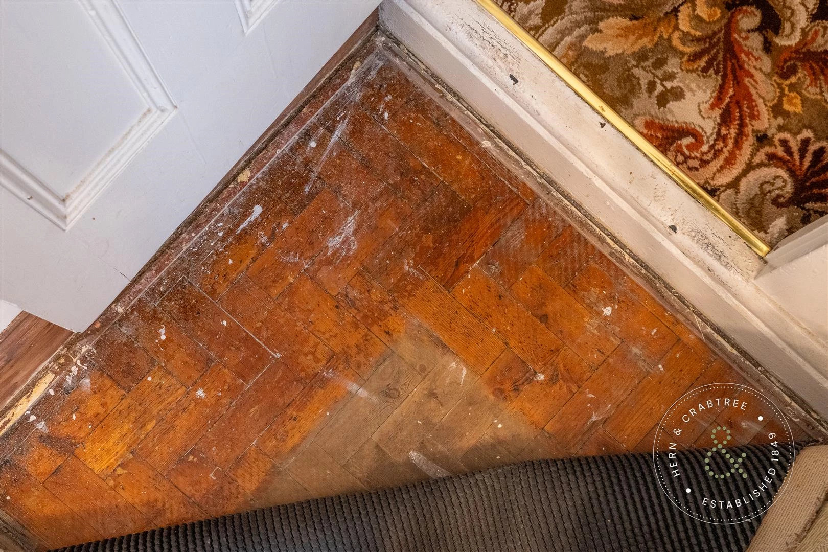 Africa Gardens, Hern Crabtree (25).jpg