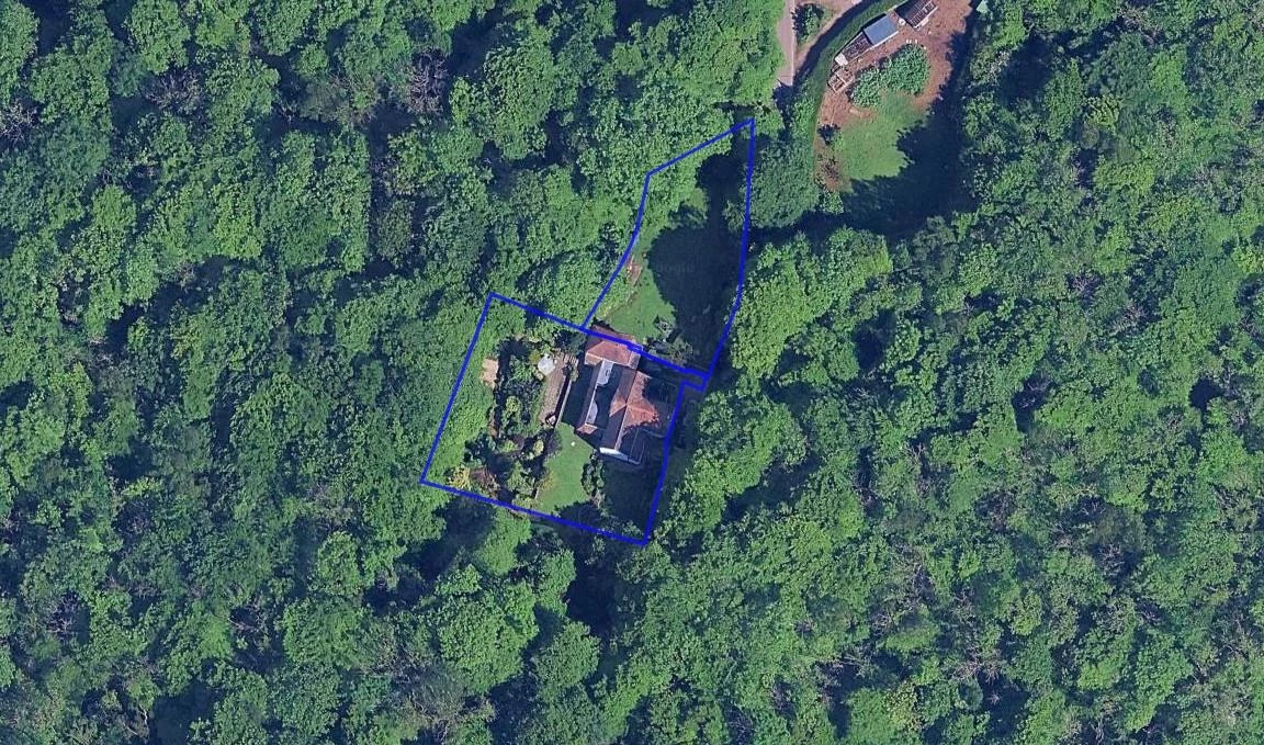 Birds Eye.jpg