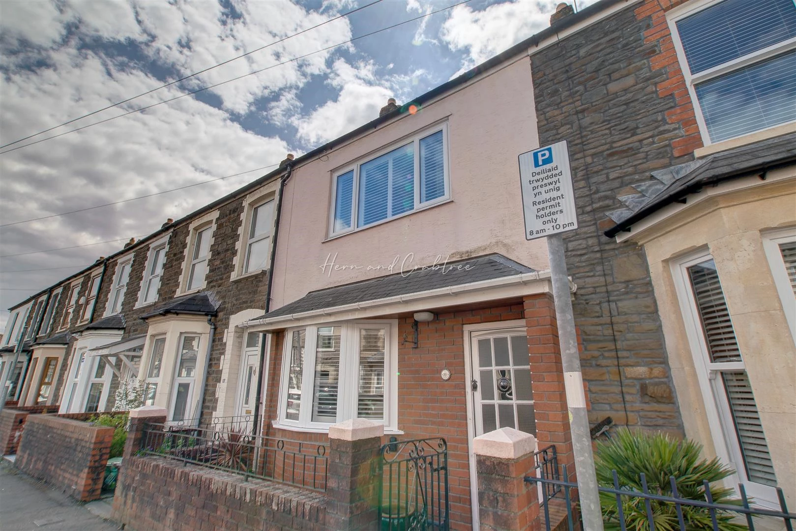 Wyndham Road, Pontcanna, HernCrabtree_ (8).jpg