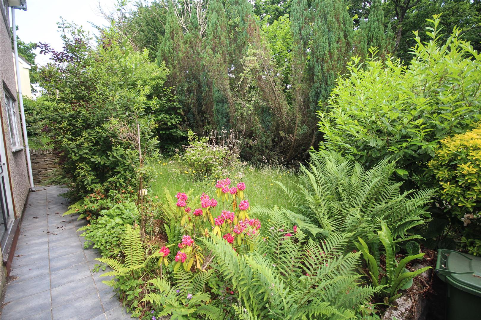 front garden.jpg
