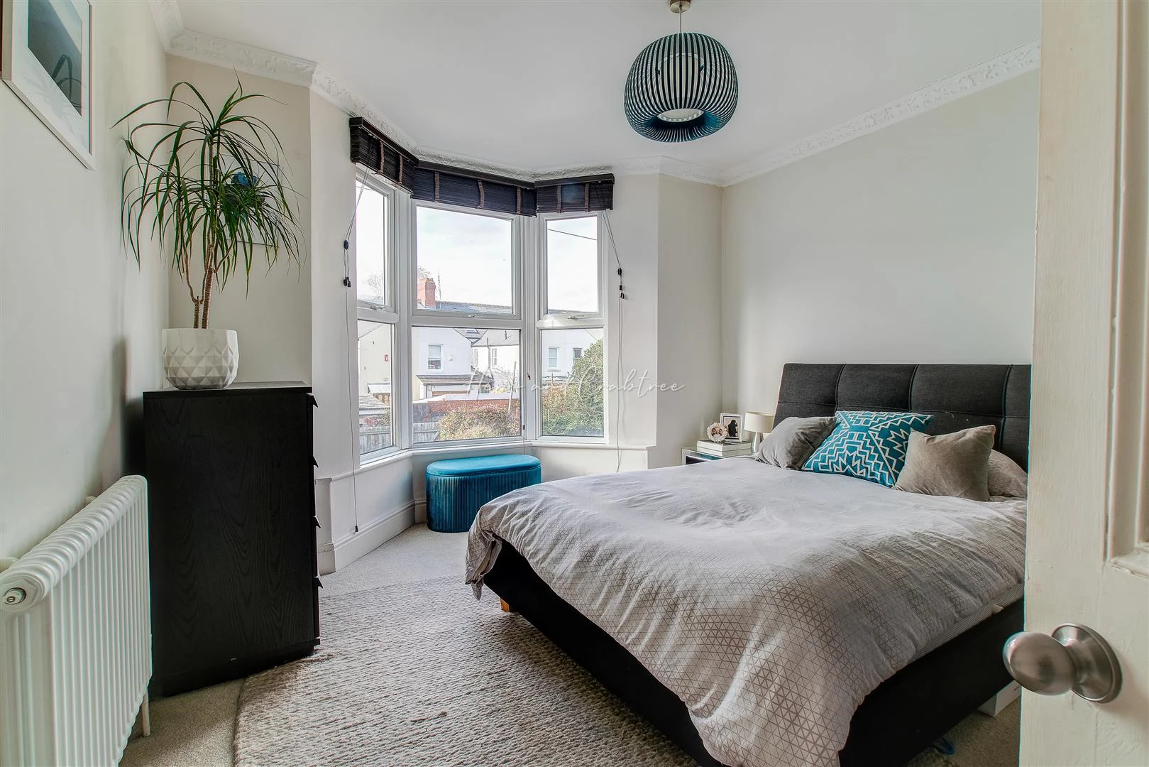 Dogo Street, Pontcanna, HernCrabtree (24).jpg