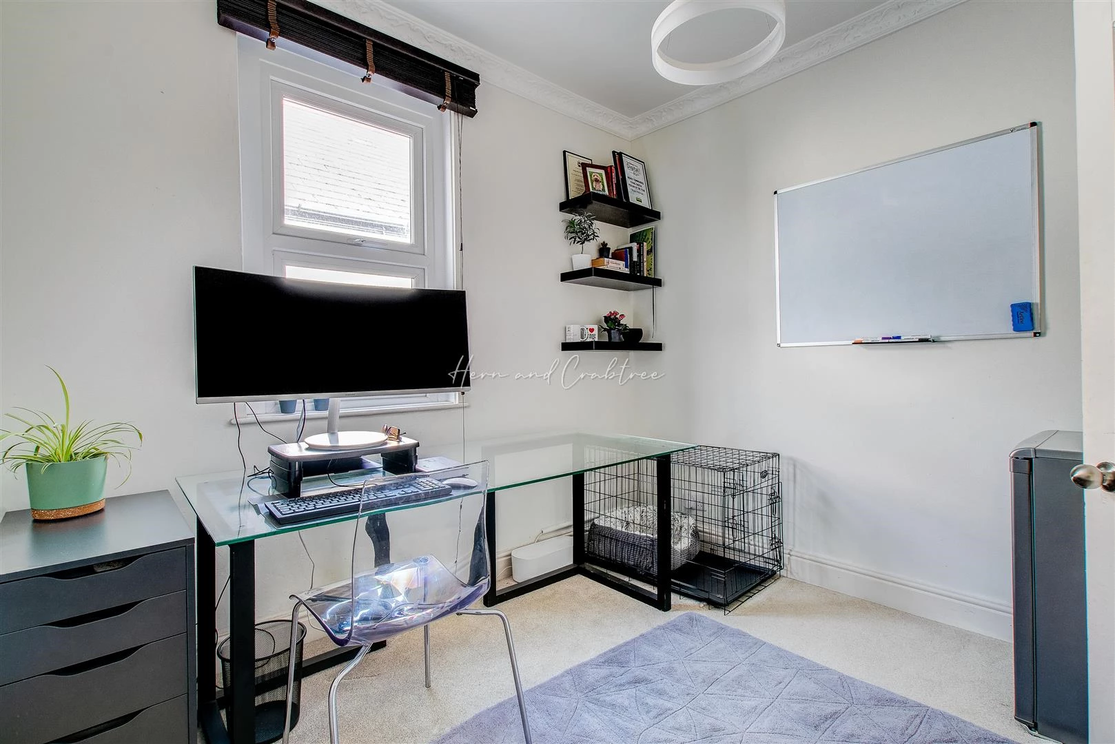 Dogo Street, Pontcanna, HernCrabtree (1).jpg